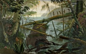 Indians Using a Fallen Tree-Trunk to Cross the Rio Paraiba do Sul, Illustration from 